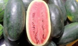 热门大瓜每日大赛 吃瓜黑料,每日大赛吃瓜黑料大汇总