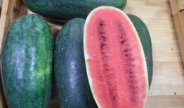 黑瓜 黑料不打样,黑料不打样的真实内幕