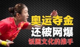 体育圈饭圈 网,网络时代的粉丝力量与偶像效应